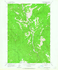 Indian Mountain Idaho Historical topographic map, 1:24000 scale, 7.5 X 7.5 Minute, Year 1963