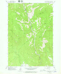 Indian Mountain Idaho Historical topographic map, 1:24000 scale, 7.5 X 7.5 Minute, Year 1963