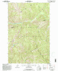Indian Postoffice Idaho Historical topographic map, 1:24000 scale, 7.5 X 7.5 Minute, Year 1994