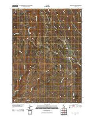 Indian Meadows Idaho Historical topographic map, 1:24000 scale, 7.5 X 7.5 Minute, Year 2010