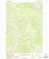 Iron Creek Point Idaho Historical topographic map, 1:24000 scale, 7.5 X 7.5 Minute, Year 1987