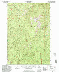 Iron Mountain Idaho Historical topographic map, 1:24000 scale, 7.5 X 7.5 Minute, Year 1995