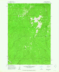 Iron Mtn Idaho Historical topographic map, 1:24000 scale, 7.5 X 7.5 Minute, Year 1962