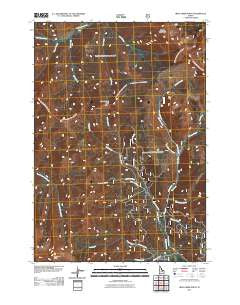 Iron Creek Point Idaho Historical topographic map, 1:24000 scale, 7.5 X 7.5 Minute, Year 2011