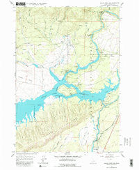 Island Park Dam Idaho Historical topographic map, 1:24000 scale, 7.5 X 7.5 Minute, Year 1964