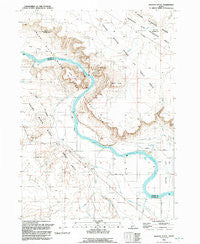 Jackass Butte Idaho Historical topographic map, 1:24000 scale, 7.5 X 7.5 Minute, Year 1992