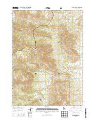 Jeff Cabin Creek Idaho Current topographic map, 1:24000 scale, 7.5 X 7.5 Minute, Year 2013