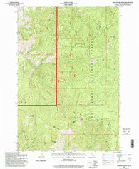 John Day Mountain Idaho Historical topographic map, 1:24000 scale, 7.5 X 7.5 Minute, Year 1995