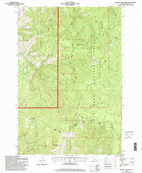 John Day Mountain Idaho Historical topographic map, 1:24000 scale, 7.5 X 7.5 Minute, Year 1995