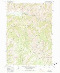 Jumbo Mtn Idaho Historical topographic map, 1:24000 scale, 7.5 X 7.5 Minute, Year 1964