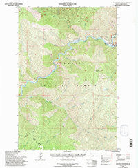 Junction Mountain Idaho Historical topographic map, 1:24000 scale, 7.5 X 7.5 Minute, Year 1994