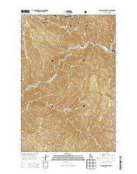 Junction Mountain Idaho Current topographic map, 1:24000 scale, 7.5 X 7.5 Minute, Year 2014