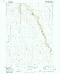 Juniper Butte Idaho Historical topographic map, 1:24000 scale, 7.5 X 7.5 Minute, Year 1980