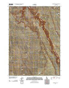Juniper Butte Idaho Historical topographic map, 1:24000 scale, 7.5 X 7.5 Minute, Year 2010