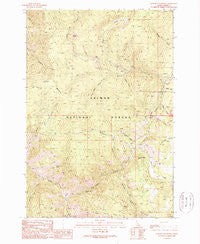 Jureano Mountain Idaho Historical topographic map, 1:24000 scale, 7.5 X 7.5 Minute, Year 1989