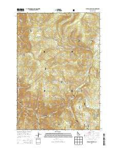 Jureano Mountain Idaho Current topographic map, 1:24000 scale, 7.5 X 7.5 Minute, Year 2013