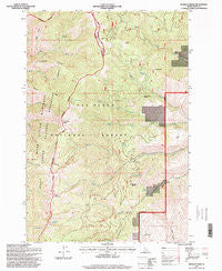 Kessler Creek Idaho Historical topographic map, 1:24000 scale, 7.5 X 7.5 Minute, Year 1995