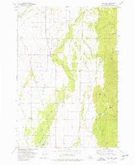 Lake Fork Idaho Historical topographic map, 1:24000 scale, 7.5 X 7.5 Minute, Year 1973