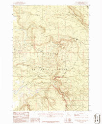 Latham Spring Idaho Historical topographic map, 1:24000 scale, 7.5 X 7.5 Minute, Year 1986