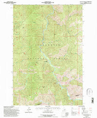 Lean-to Point Idaho Historical topographic map, 1:24000 scale, 7.5 X 7.5 Minute, Year 1994