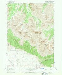 Leatherman Peak Idaho Historical topographic map, 1:24000 scale, 7.5 X 7.5 Minute, Year 1967