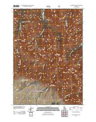 Leatherman Peak Idaho Historical topographic map, 1:24000 scale, 7.5 X 7.5 Minute, Year 2011