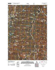 Leesburg Idaho Historical topographic map, 1:24000 scale, 7.5 X 7.5 Minute, Year 2011