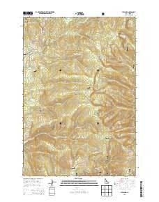 Leesburg Idaho Current topographic map, 1:24000 scale, 7.5 X 7.5 Minute, Year 2013