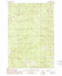 Leesburg Idaho Historical topographic map, 1:24000 scale, 7.5 X 7.5 Minute, Year 1989