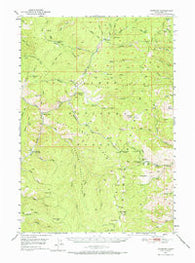 Leesburg Idaho Historical topographic map, 1:62500 scale, 15 X 15 Minute, Year 1950
