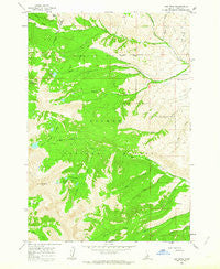 Lem Peak Idaho Historical topographic map, 1:24000 scale, 7.5 X 7.5 Minute, Year 1962