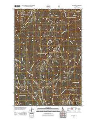 Lick Point Idaho Historical topographic map, 1:24000 scale, 7.5 X 7.5 Minute, Year 2011