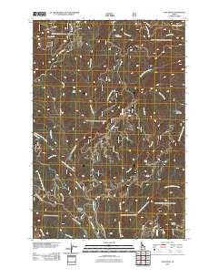 Lick Point Idaho Historical topographic map, 1:24000 scale, 7.5 X 7.5 Minute, Year 2011