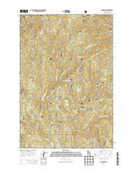 Lick Point Idaho Current topographic map, 1:24000 scale, 7.5 X 7.5 Minute, Year 2013