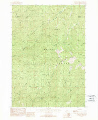 Lightning Ridge Idaho Historical topographic map, 1:24000 scale, 7.5 X 7.5 Minute, Year 1988