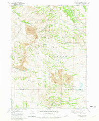 Lincoln Peak Idaho Historical topographic map, 1:24000 scale, 7.5 X 7.5 Minute, Year 1981