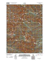 Lincoln Peak Idaho Historical topographic map, 1:24000 scale, 7.5 X 7.5 Minute, Year 2010