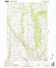 Little Bear Ridge Idaho Historical topographic map, 1:24000 scale, 7.5 X 7.5 Minute, Year 1990