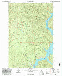 Little Green Mountain Idaho Historical topographic map, 1:24000 scale, 7.5 X 7.5 Minute, Year 1994