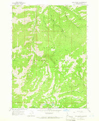 Little Trinity Lake Idaho Historical topographic map, 1:24000 scale, 7.5 X 7.5 Minute, Year 1964