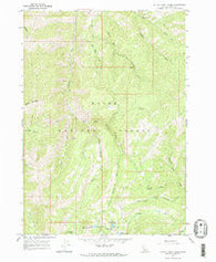 Little Trinity Lake Idaho Historical topographic map, 1:24000 scale, 7.5 X 7.5 Minute, Year 1964