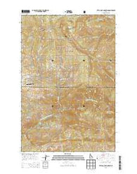 Little Goat Mountains Idaho Current topographic map, 1:24000 scale, 7.5 X 7.5 Minute, Year 2013