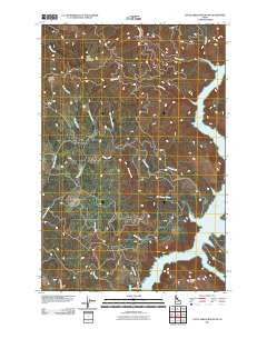 Little Green Mountain Idaho Historical topographic map, 1:24000 scale, 7.5 X 7.5 Minute, Year 2011