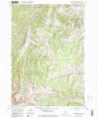 Livingston Creek Idaho Historical topographic map, 1:24000 scale, 7.5 X 7.5 Minute, Year 1964