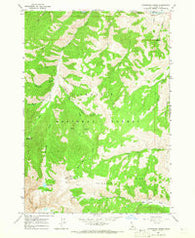 Livingston Creek Idaho Historical topographic map, 1:24000 scale, 7.5 X 7.5 Minute, Year 1964