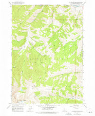 Livingston Creek Idaho Historical topographic map, 1:24000 scale, 7.5 X 7.5 Minute, Year 1964