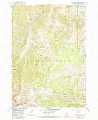 Livingston Creek Idaho Historical topographic map, 1:24000 scale, 7.5 X 7.5 Minute, Year 1964