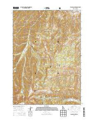 Livingston Creek Idaho Current topographic map, 1:24000 scale, 7.5 X 7.5 Minute, Year 2013