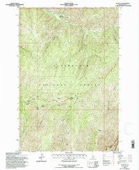 Liz Butte Idaho Historical topographic map, 1:24000 scale, 7.5 X 7.5 Minute, Year 1994