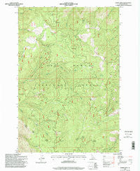 Lodge Point Idaho Historical topographic map, 1:24000 scale, 7.5 X 7.5 Minute, Year 1995